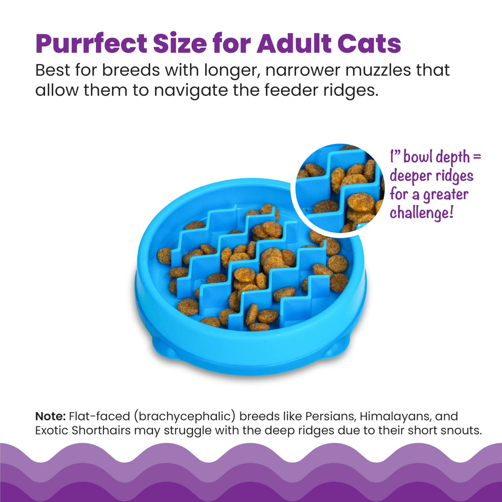 Catstages Kitty Slow Feeder material sin BPA para uso diario seguro
