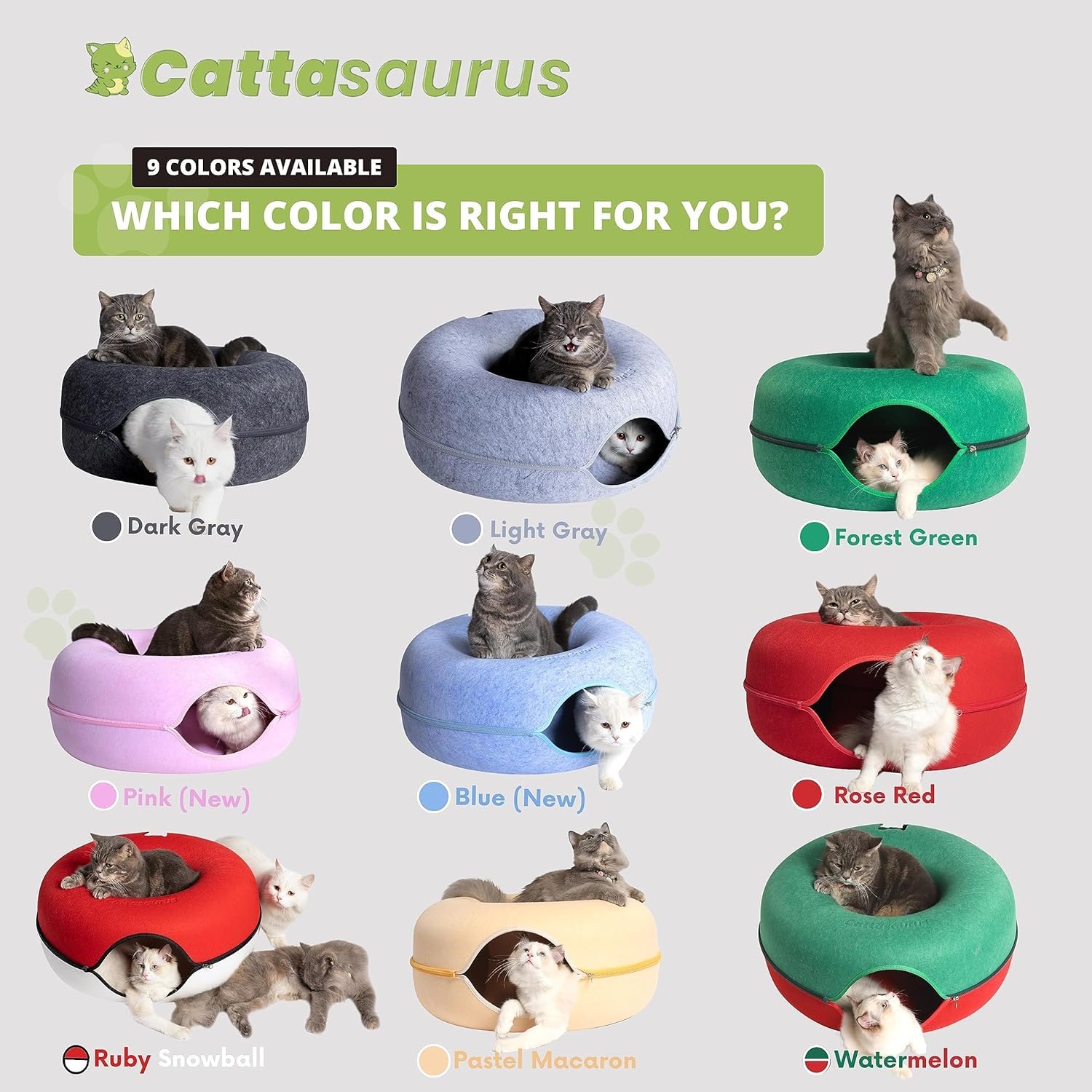 Cattasaurus Peekaboo receso-almacenamiento, organización integrada para el refugio.