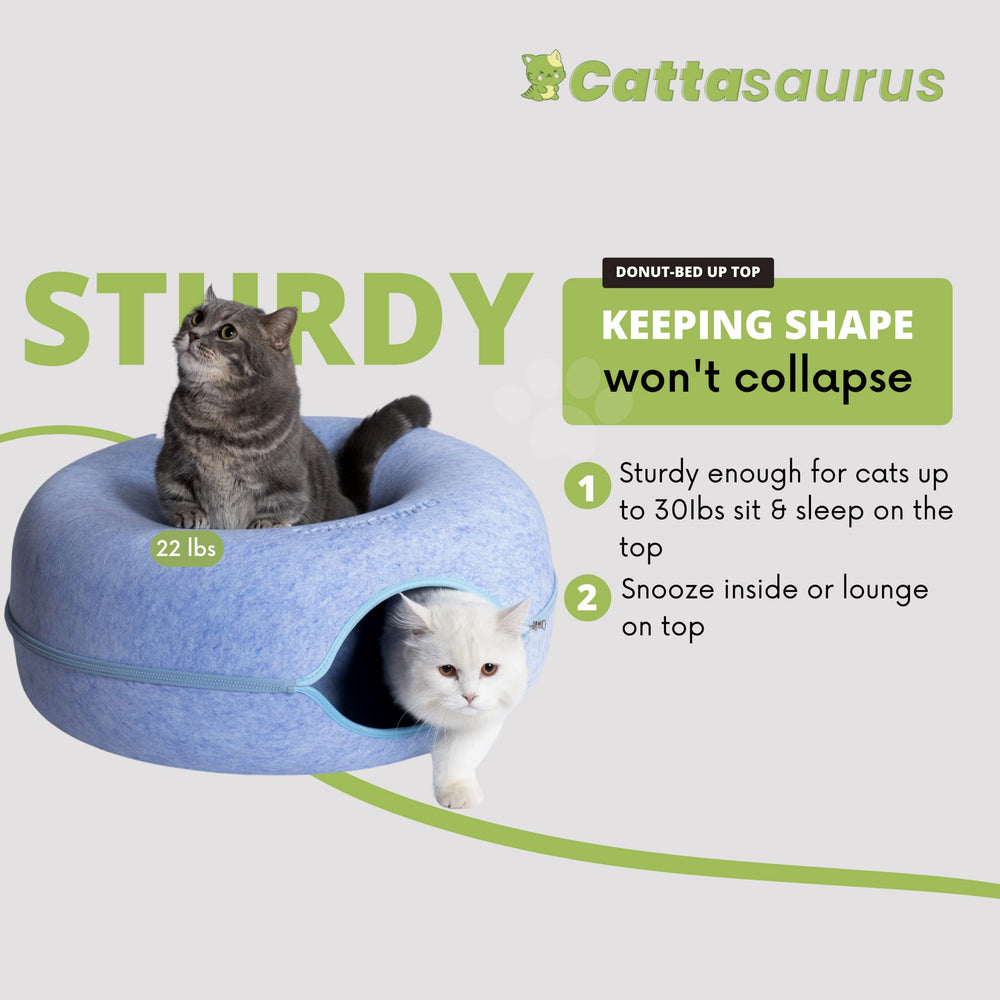 Cattasaurus Peekaboo tunel-cama-gato-interior, espacio acogedor para juego y descanso.