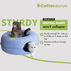 Cattasaurus Peekaboo tunel-cama-gato-interior, espacio acogedor para juego y descanso.