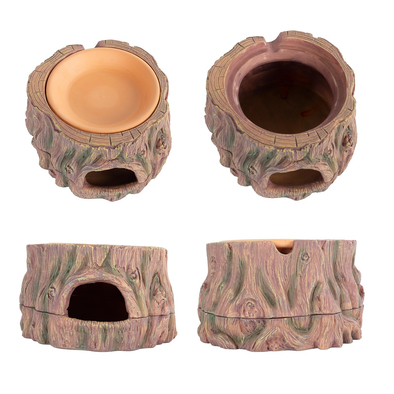 CAVACHEW diseno-arbol-realista, apariencia natural en el terrario.