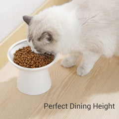 CEEFU cuenco elevado de cerámica blanco, altura de 5 pulgadas para comer cómodamente