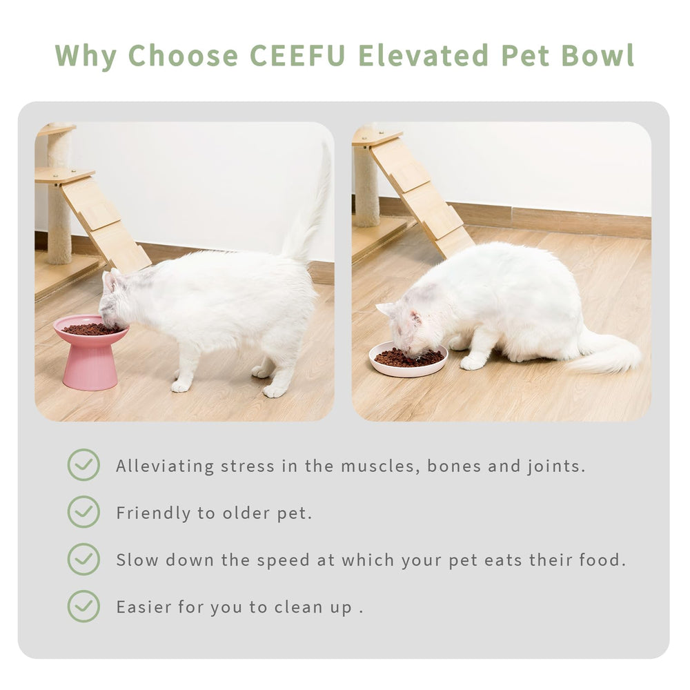 CEEFU diseño estetico rosa, tazones elevados para gatos, decoración elegante.