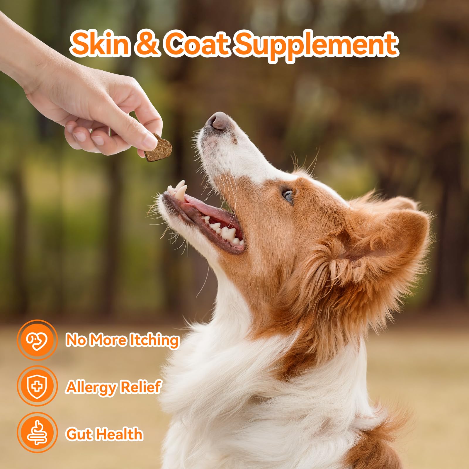 CeliAeh colostro: refuerzo inmunitario para perros.