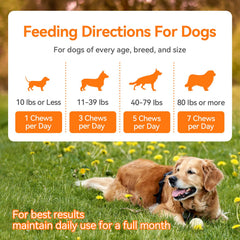 CeliAeh probióticos: salud digestiva para perros.