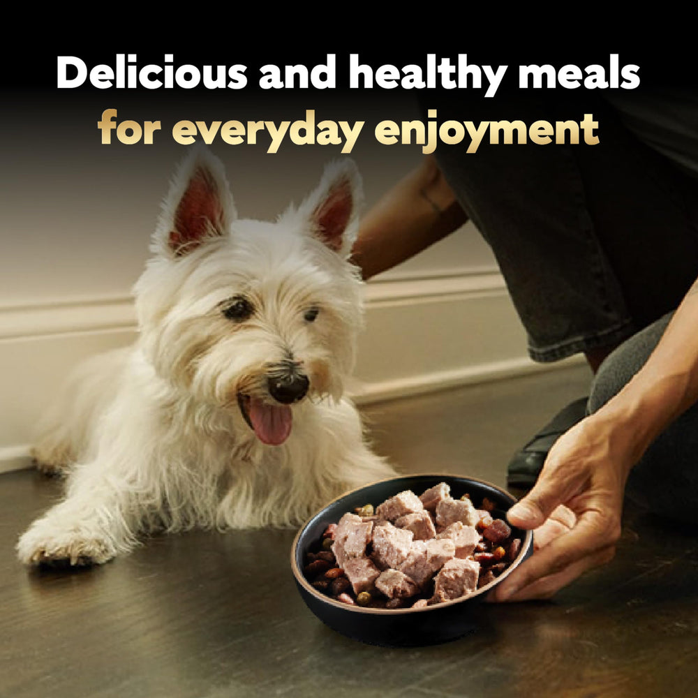 Cesar bandeja perro porcion-3-5oz: porciones individuales para control de raciones.