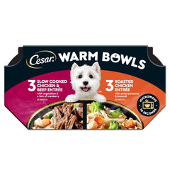 Cesar cuencos tibios pollo y carne: aroma irresistible para la comida diaria