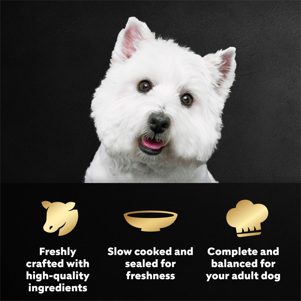 Cesar Filetes Angus para perro, envase mini servido, listo para la comida