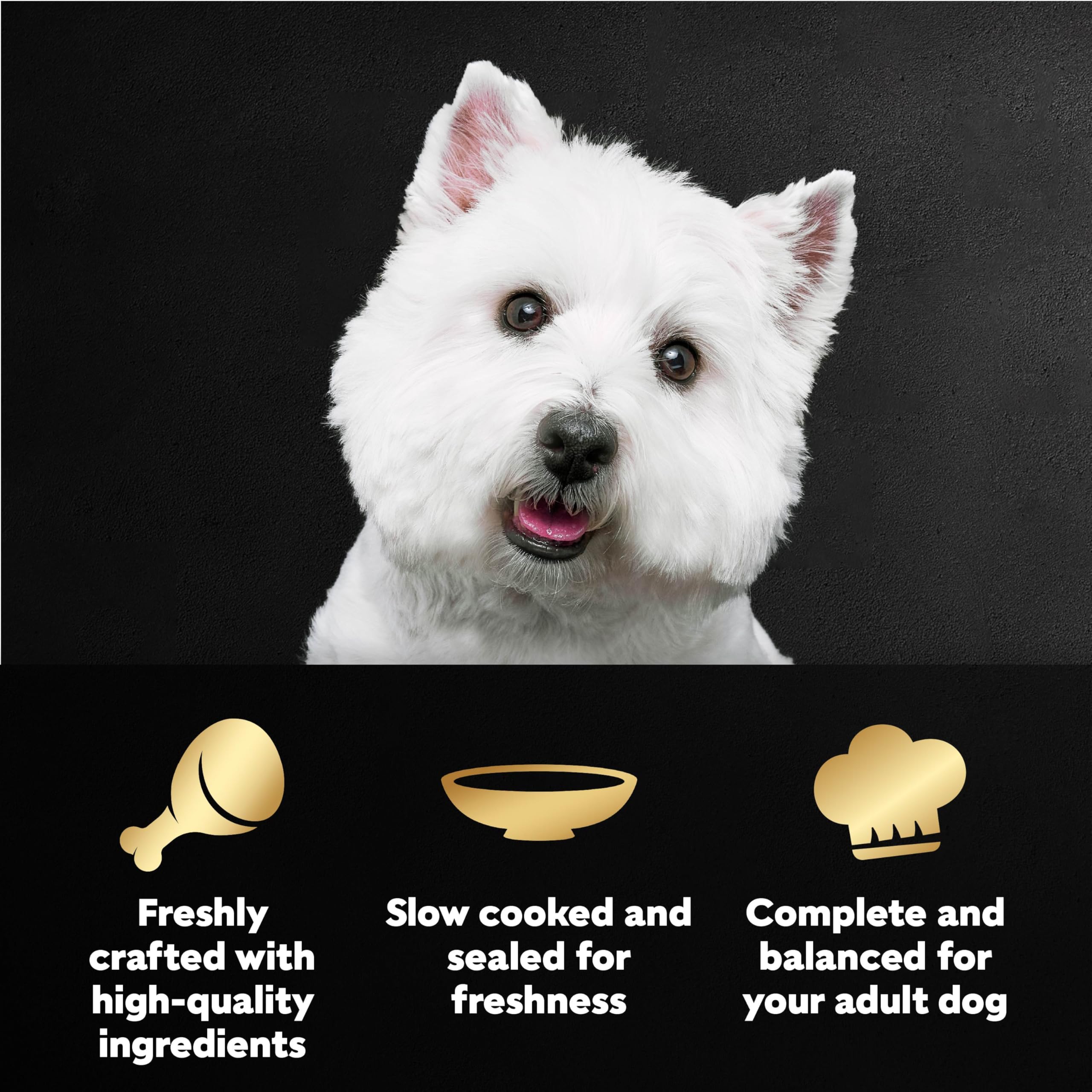 Cesar Filetes en Salsa con pollo rostizado, snack sabroso para perros adultos.