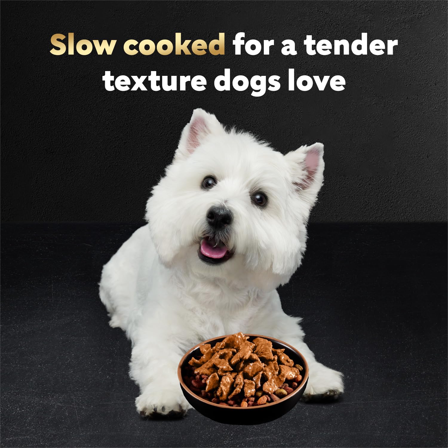 Cesar Filetes en Salsa, textura jugosa y tierna para perros.