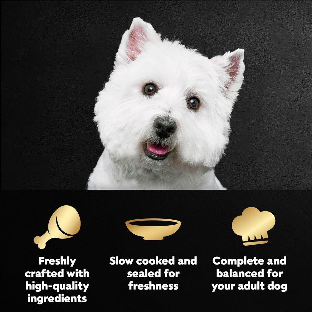 Cesar Filetes en Salsa Pollo Parrilla, textura jugosa para perros adultos.