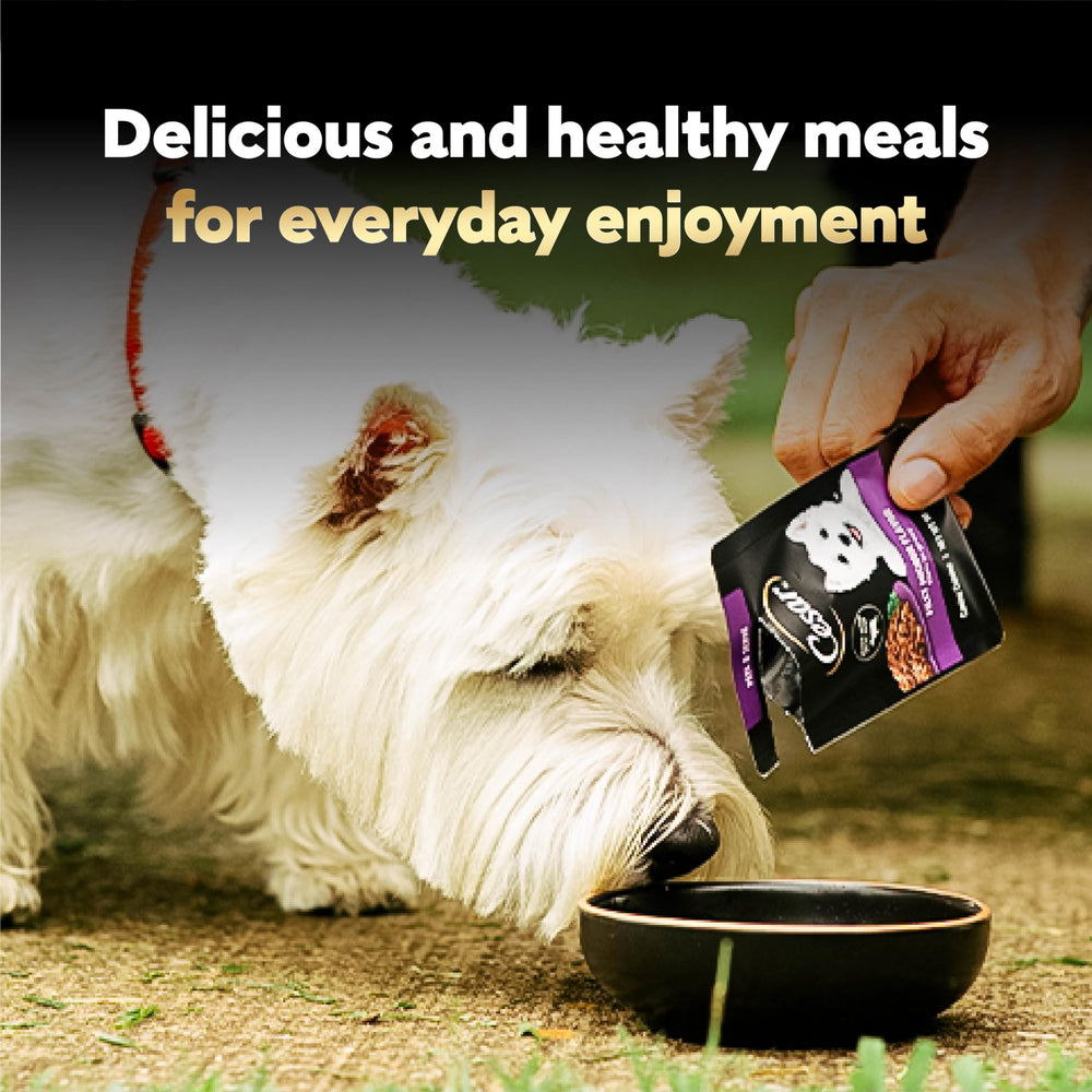 Cesar Filets in Gravy: uso diario fácil de incorporar en la dieta del perro.