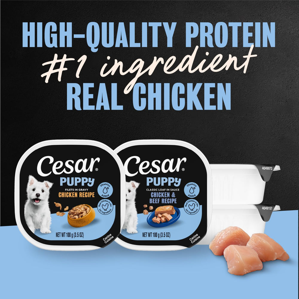 Cesar para cachorros: bandeja pelado fácil filetes jugosos, ideal para comidas diarias.