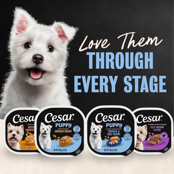 Cesar para cachorros Presentación de 24 unidades para reserva familiar.