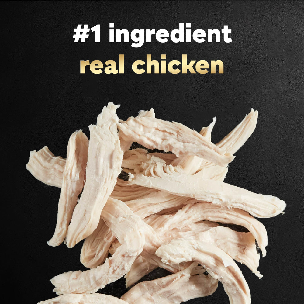 Cesar Simply Crafted alimento húmedo para perros con pollo principal y textura suave.