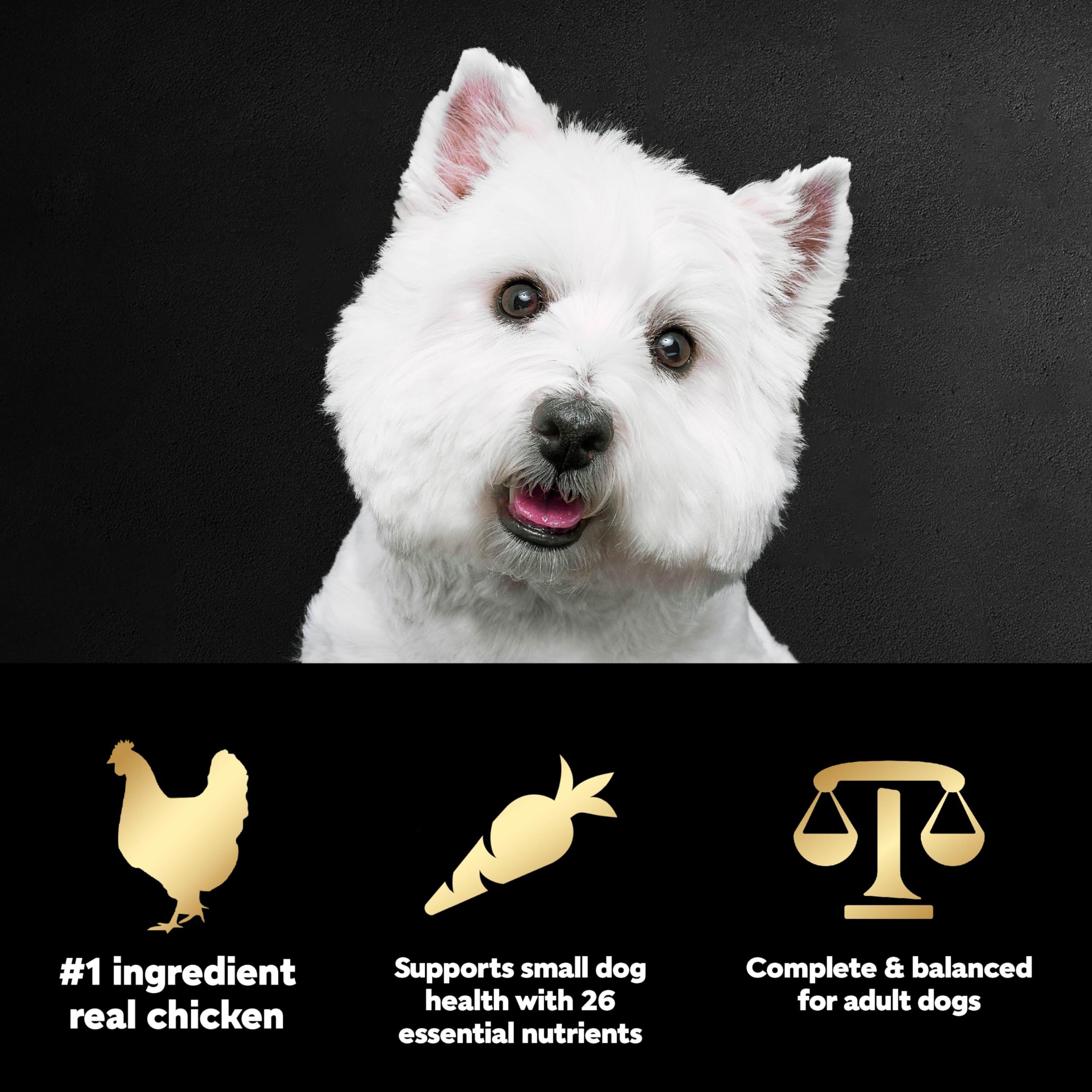 Cesar trozos pequeños, tamaño ideal para perros pequeños con mandíbulas pequeñas.