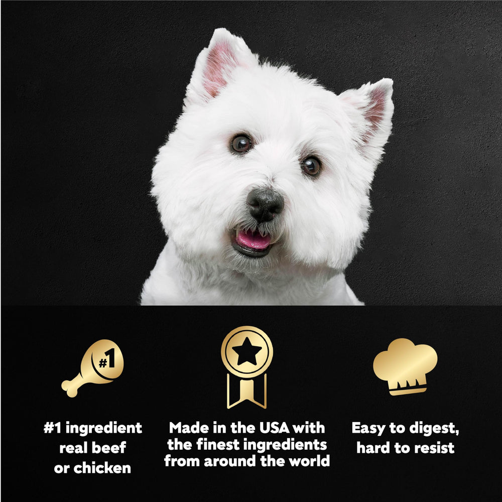 Cesar: textura suave ideal para perros adultos.