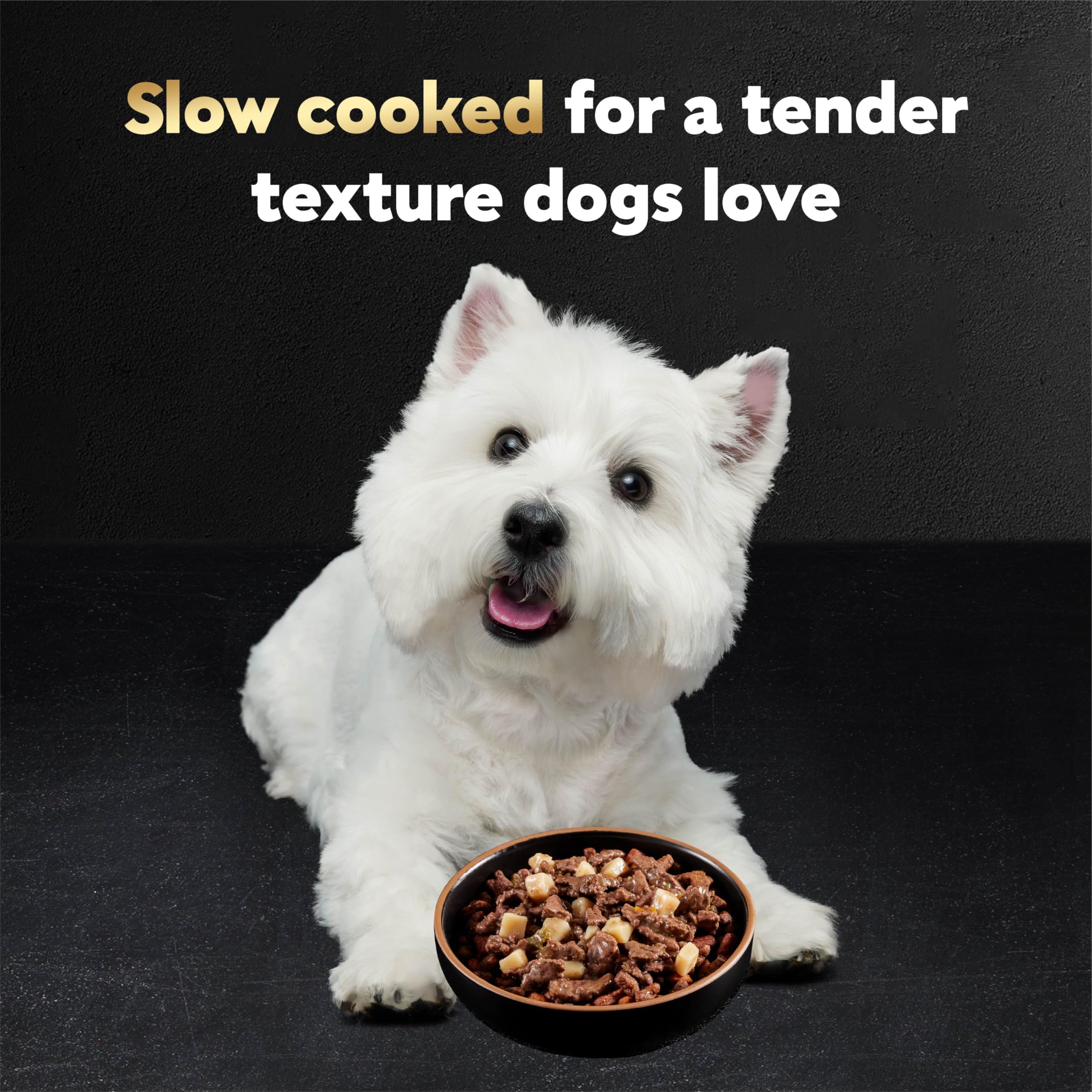 Cesar: trozos de carne real en salsa sabrosa para perros.