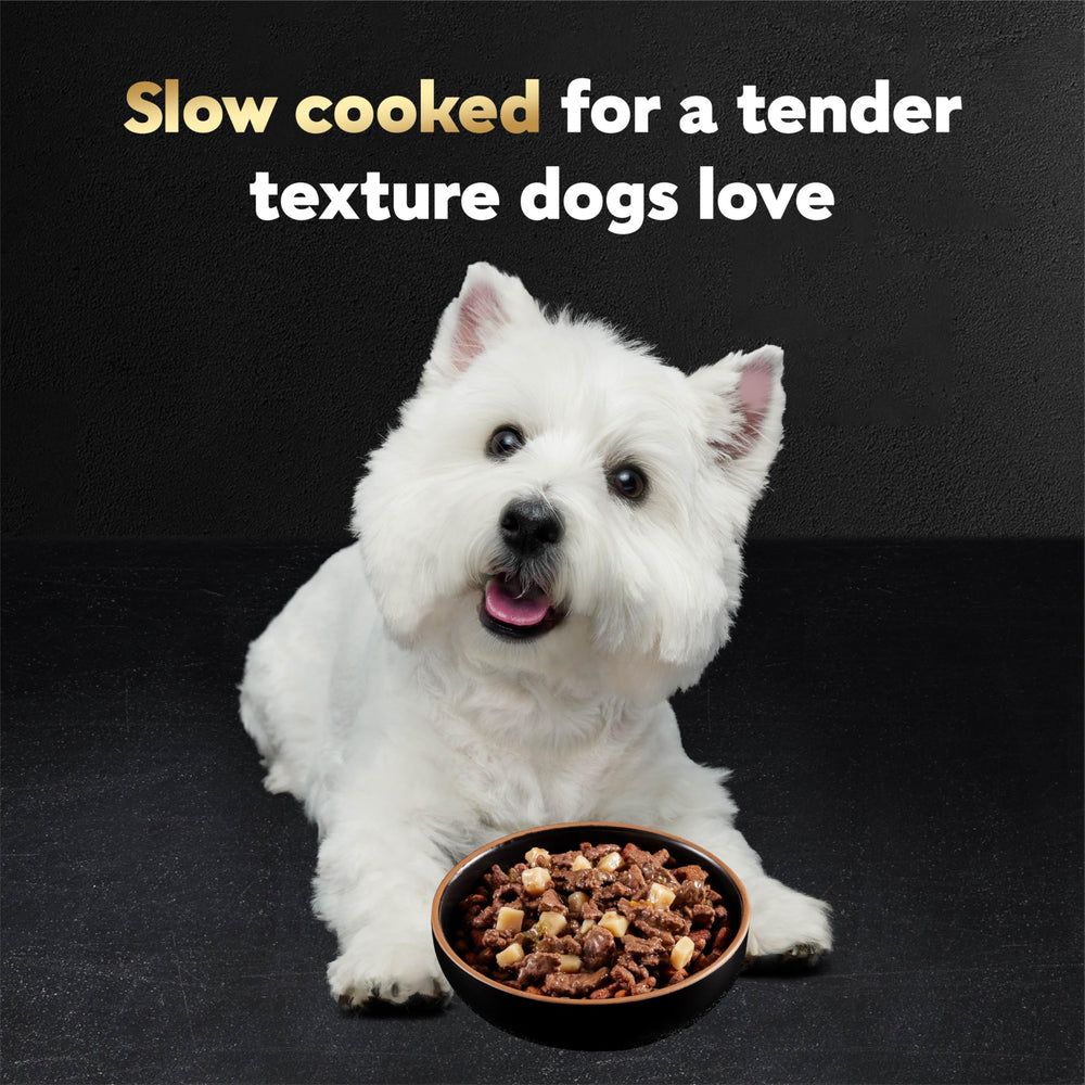 Cesar: trozos de carne real en salsa sabrosa para perros.
