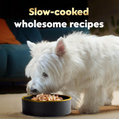 Cesar Wholesome Bowls: detalle de pollo y res en una ración sabrosa.