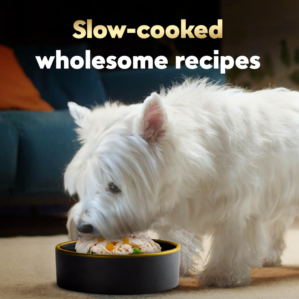 Cesar Wholesome Bowls: ingredientes clave como pollo y patata dulce.