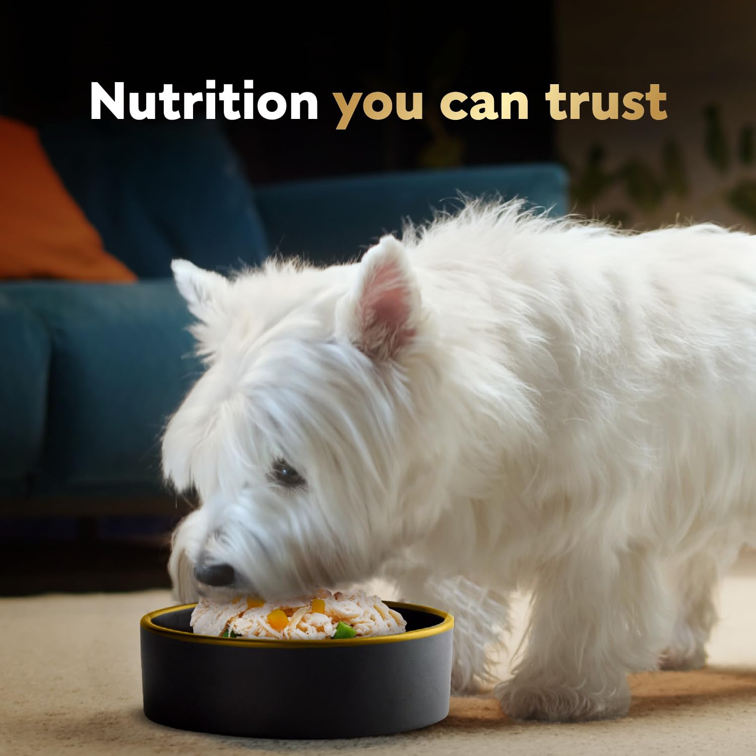 Cesar Wholesome Bowls ingredientes-naturales: sin subproductos ni sabores artificiales