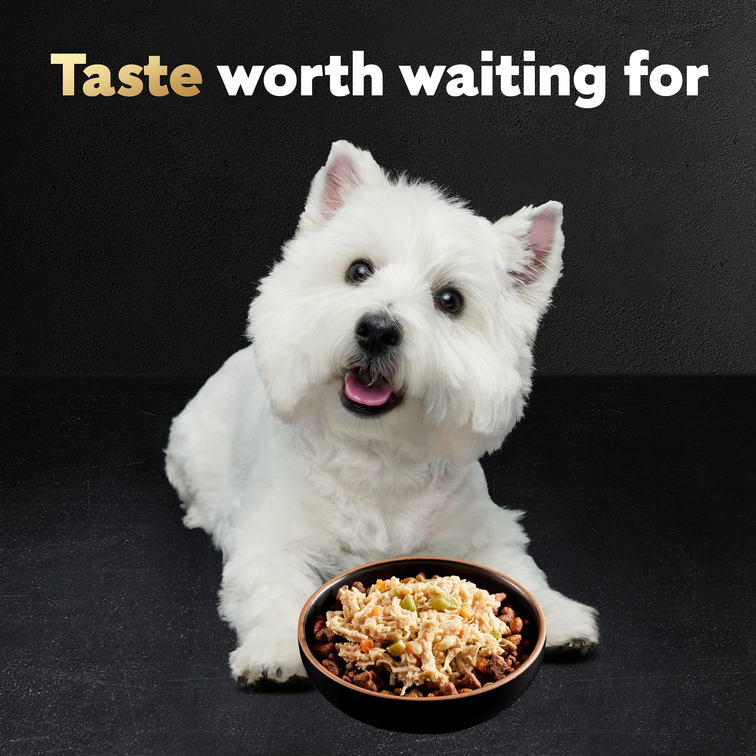 Cesar Wholesome Bowls momento de la comida placentero y delicioso para perros.