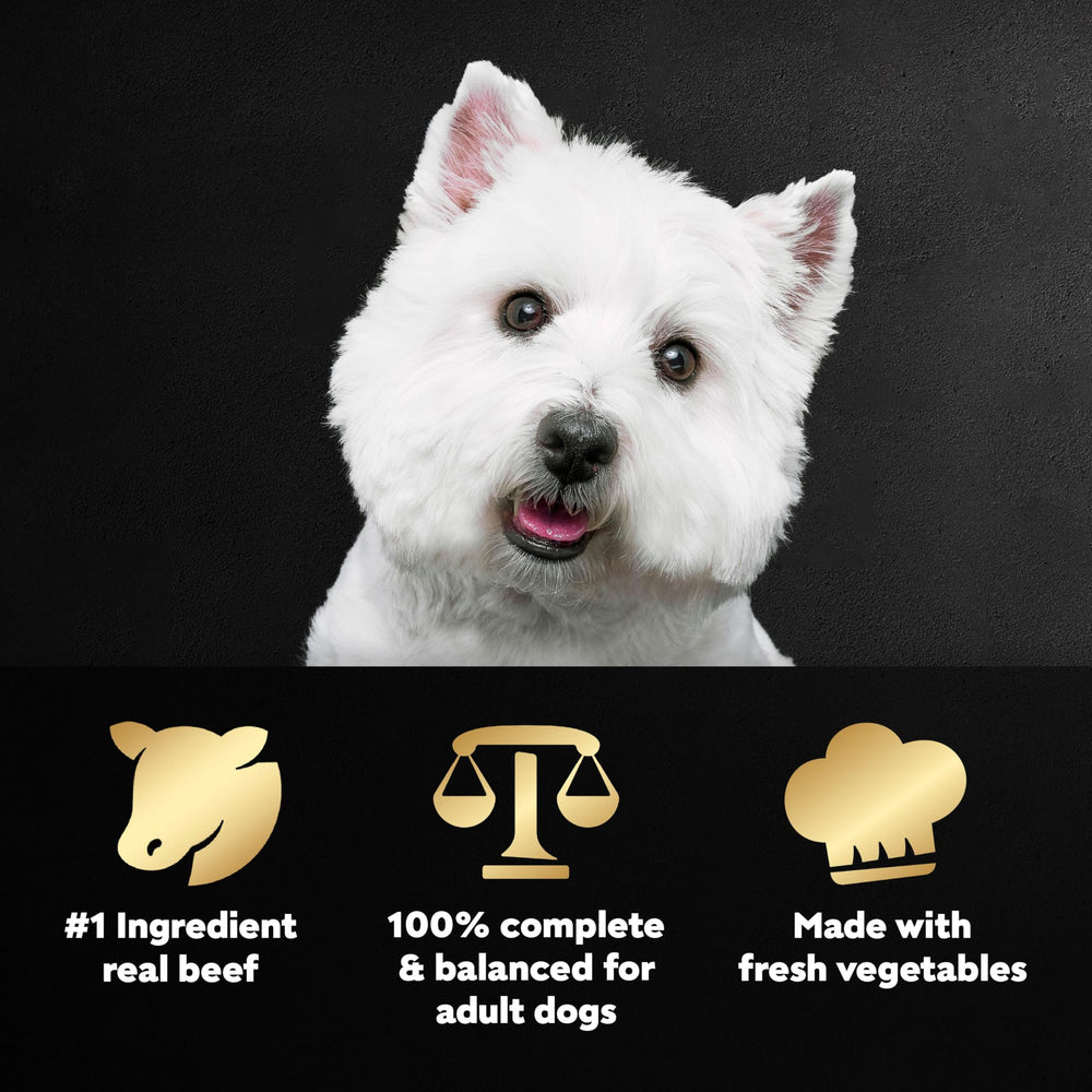 Cesar Wholesome Bowls pollo: proteína principal y sabor auténtico para perros adultos