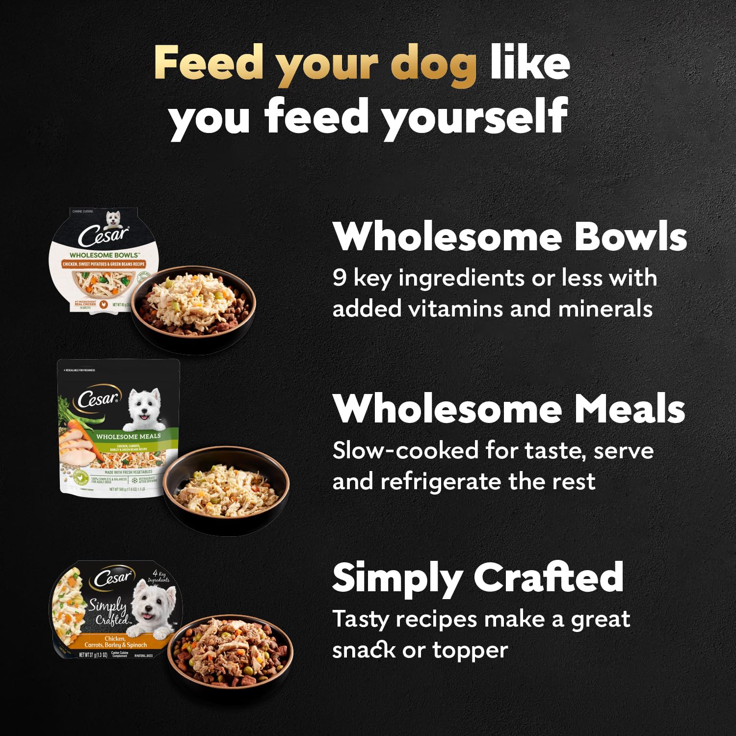 Cesar Wholesome Bowls: textura suave, fácil de digerir para perros adultos.