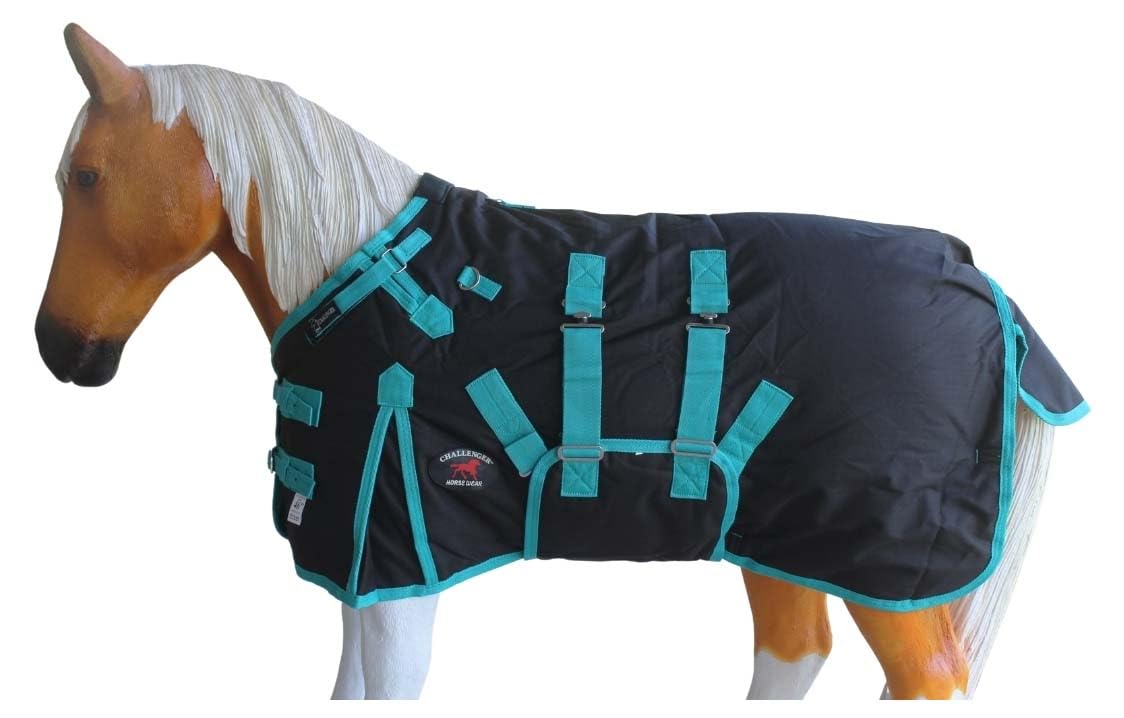 CHALLENGER manta invierno mini-burro-teal: mantiene seco y cómodo al potrillo