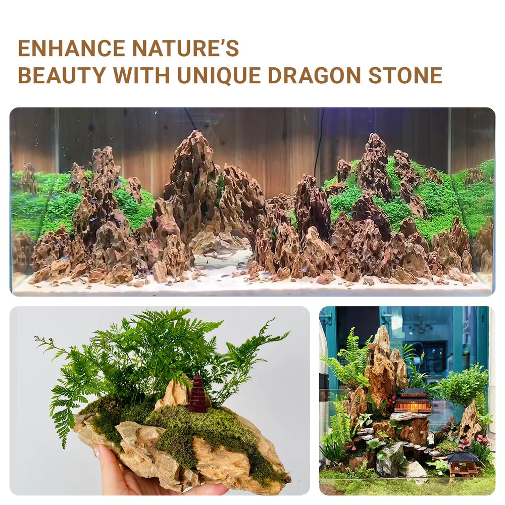 ChaoLeHo Piedra dragón para paisajes naturales y cuevas