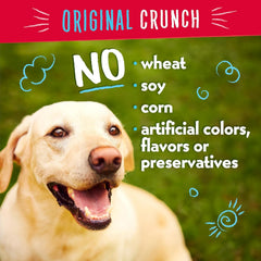 Ingredientes naturales de Charlee Bear queso y huevo para saborear.
