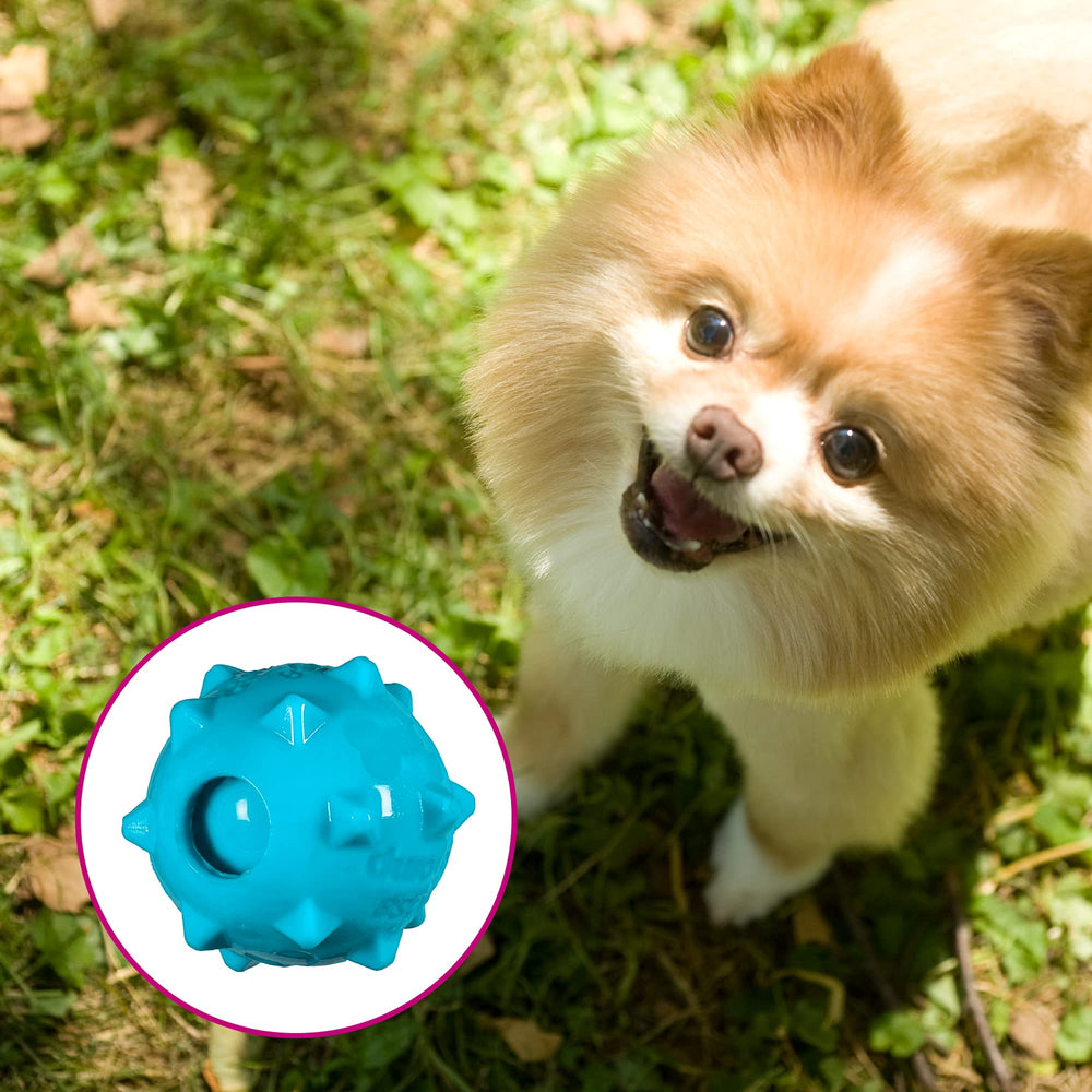 Bola parlante Chase 'n Chomp, superficie texturizada, ofrece rebotes divertidos para perros.