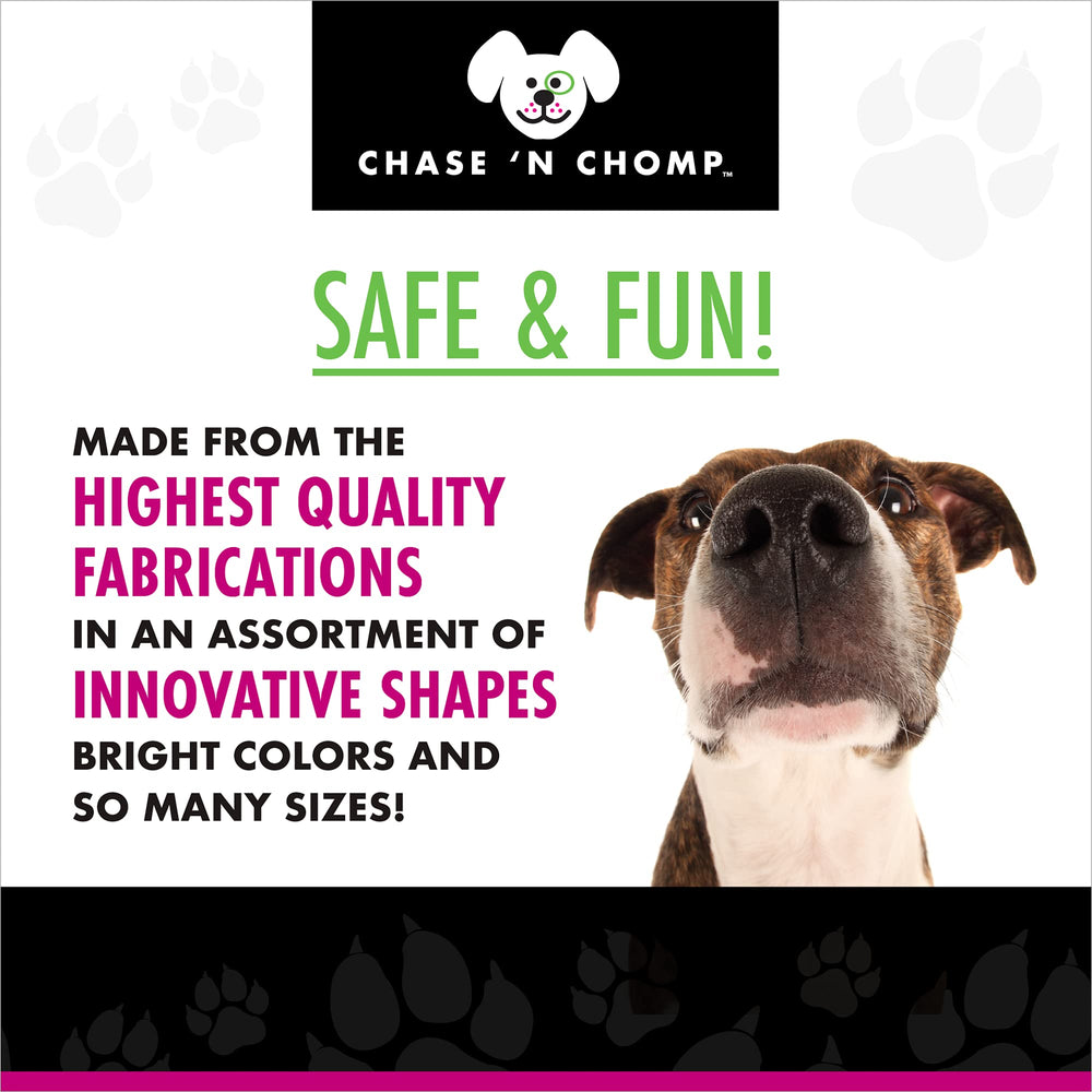 Para perros pequeños y medianos, Molecule garantiza juego seguro con la marca Chase 'n Chomp.