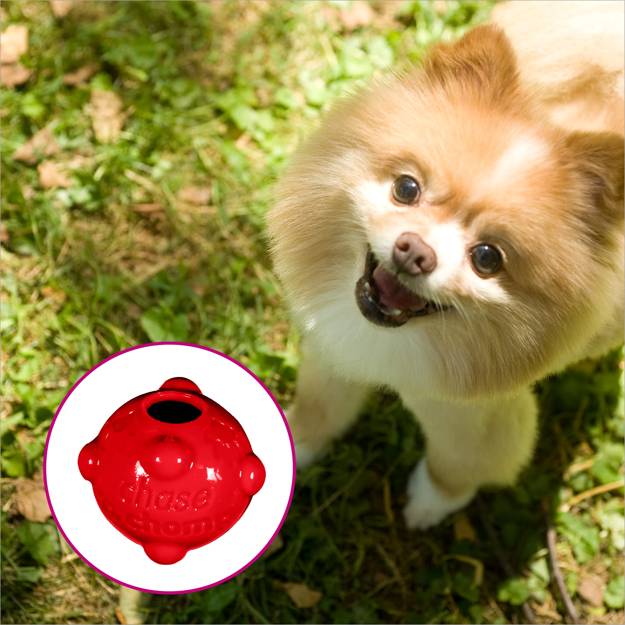 Pelota Molecule de Chase 'n Chomp rebota en todas direcciones para estimular la actividad.