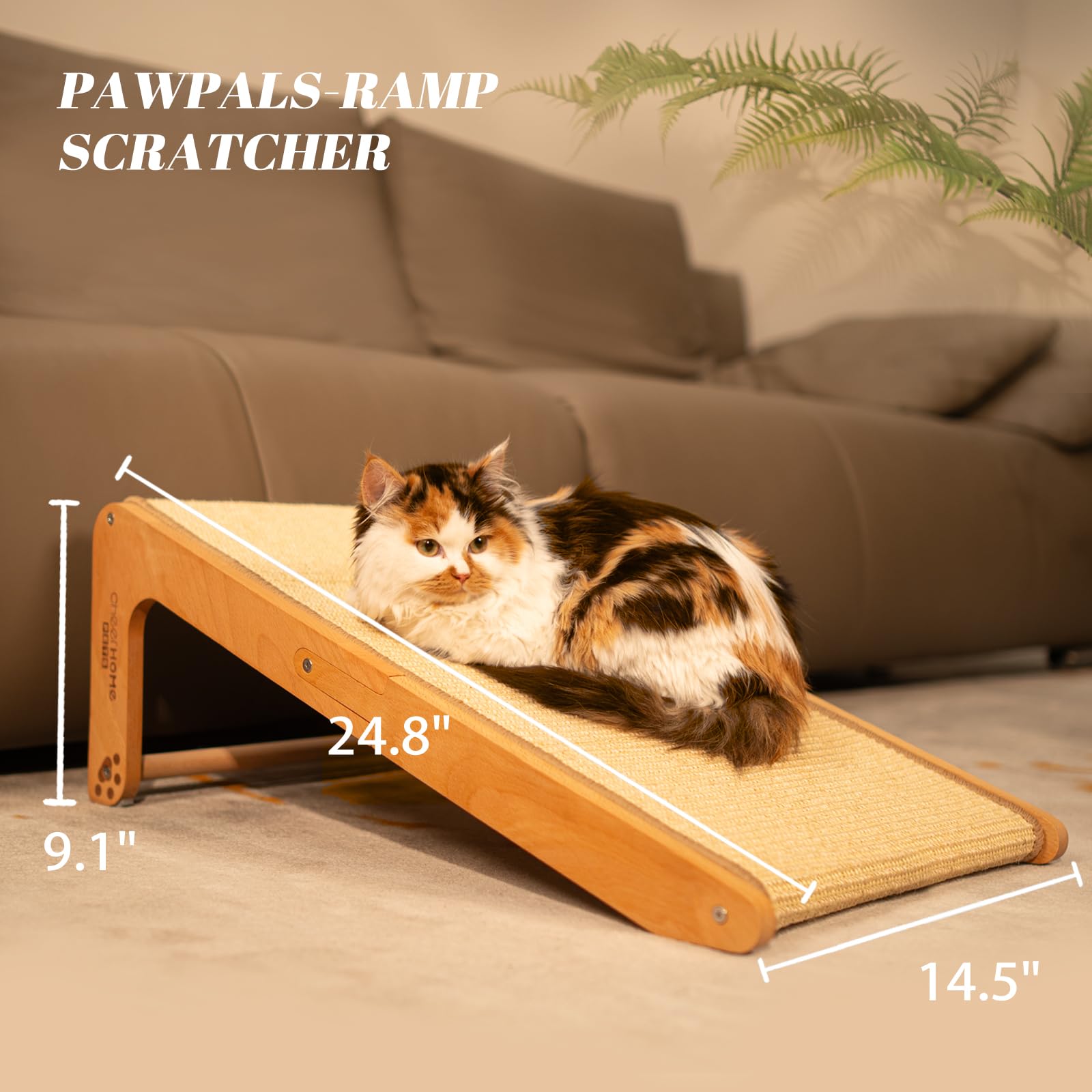Gato explora la cavidad central CHEERHOME PETS, curiosidad satisfecha sin dañar el mobiliario.