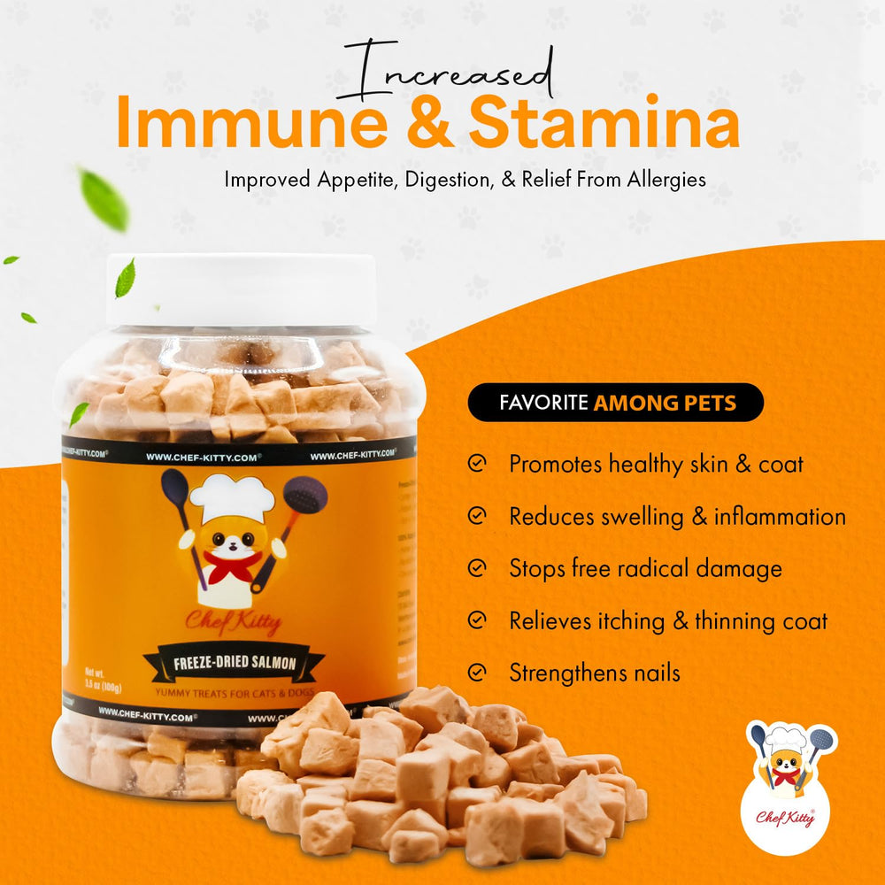 Salmón como proteína única de Chef Kitty para mascotas.