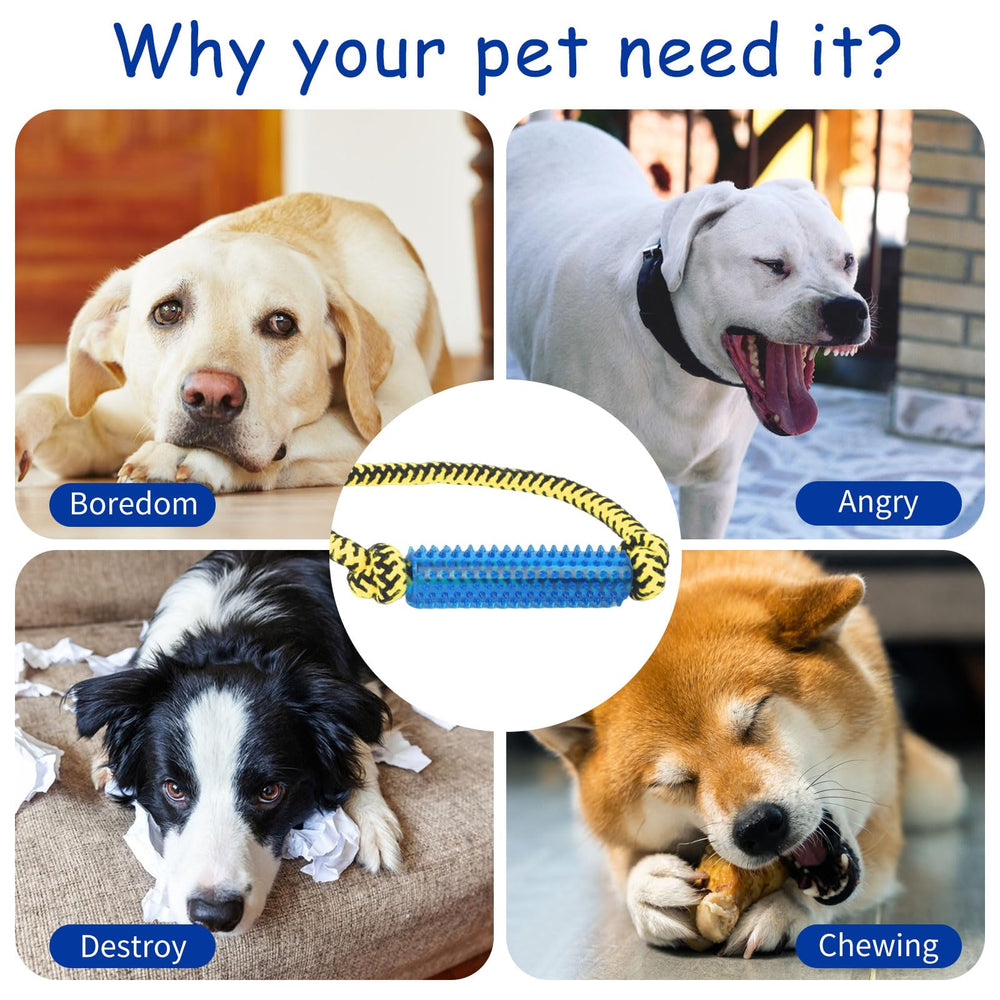 ChengFu diseño resistente a mordidas ideal para perros con masticación intensa