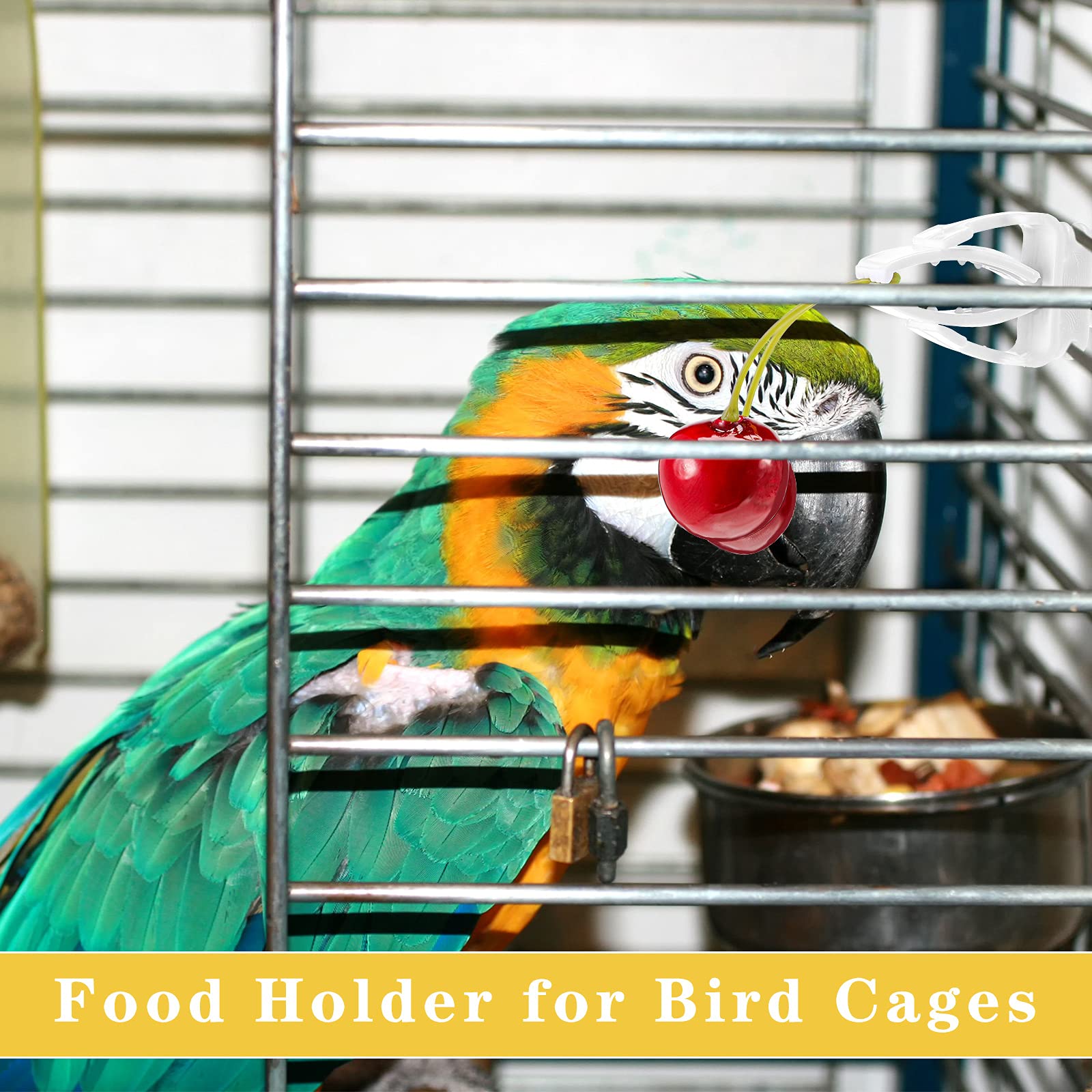 CHENGU alimentador para guacamayo, herramienta práctica para la dieta diaria.