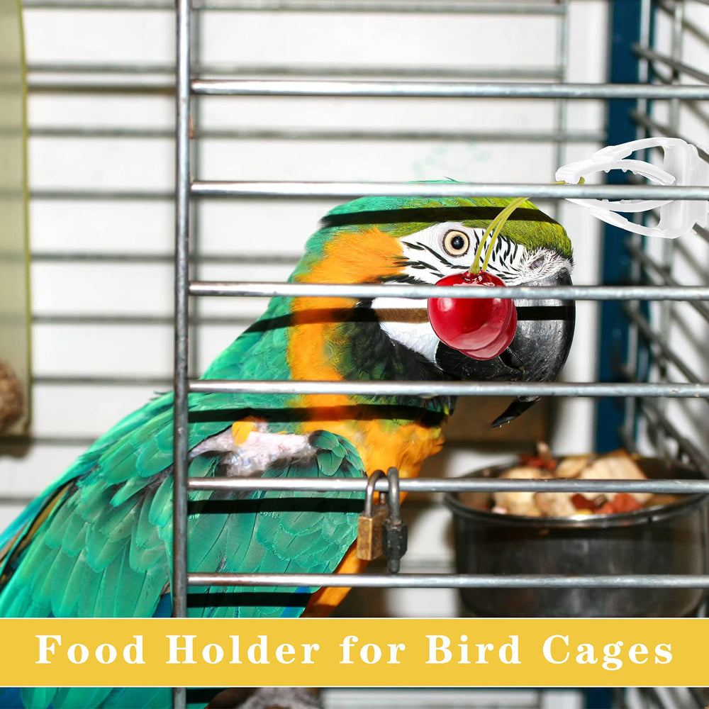CHENGU alimentador para guacamayo, herramienta práctica para la dieta diaria.