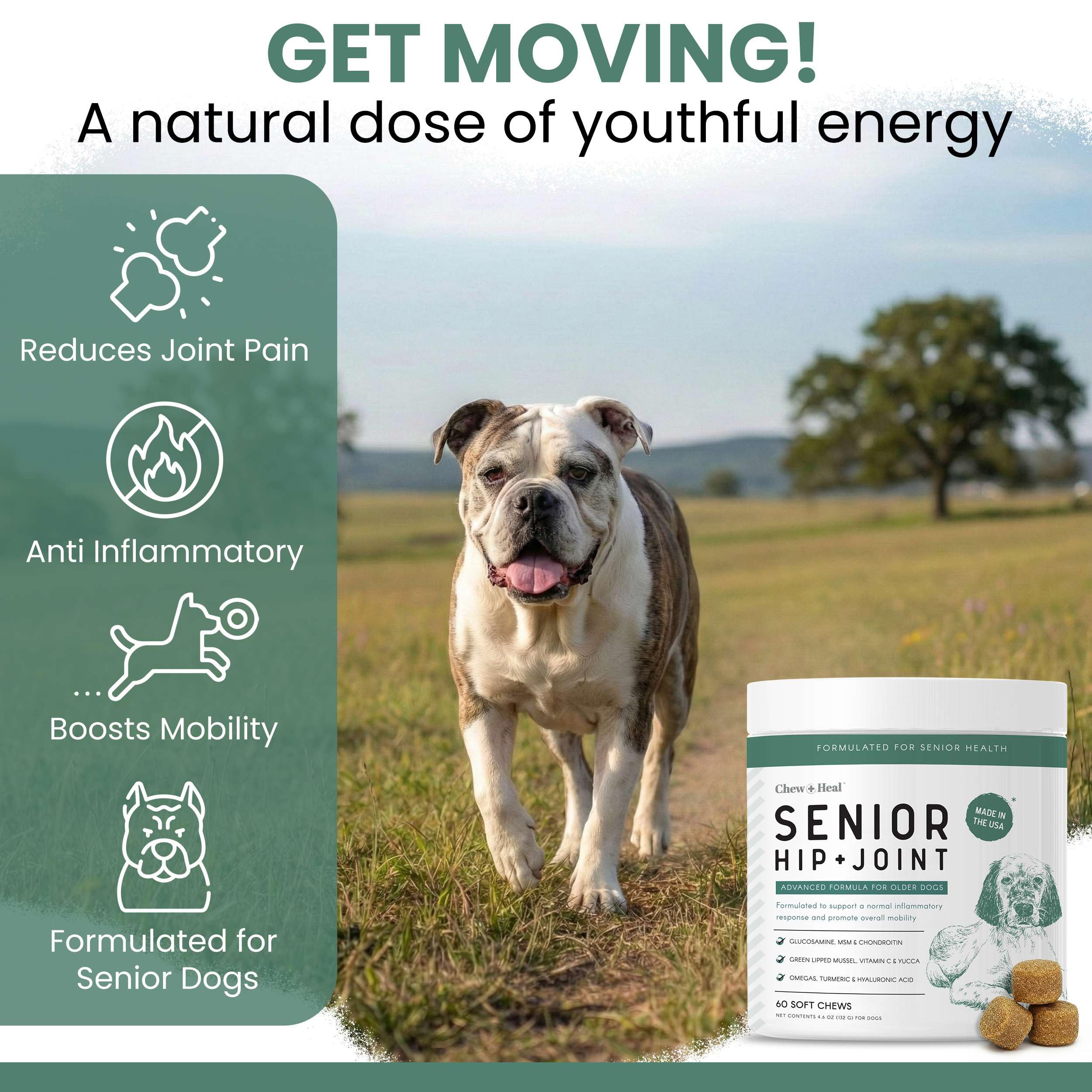 Articulaciones de perros senior con Chew + Heal Labs, mejora movilidad diaria.