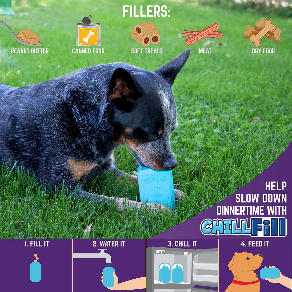 Chew King Chill Fill, opción de alimentación congelada para variedad.