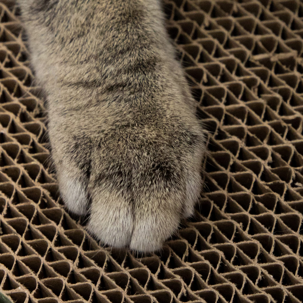 Chew King Chill Fill: tamaño mediano ideal para perros de tamaño medio