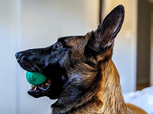 Chew King juego resistente para perros de morder fuerte