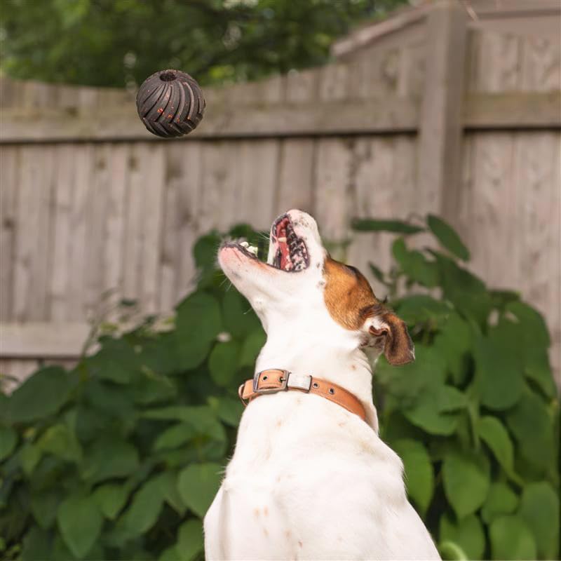 Chew King Supreme: dispensador de premios interno para entrenamiento y estimulación mental.