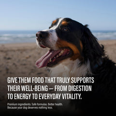 Chewer's Joy pate salmon: sabor marino para perros activos