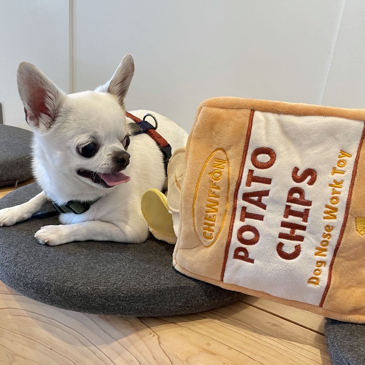 CHEWFFON jouet universel pour toutes tailles de chiens, sessions de jeu polyvalentes.