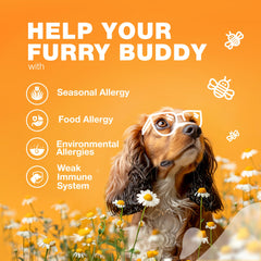 CHEWIA digestivo-apoyo-perro: mejora la digestión y bienestar.