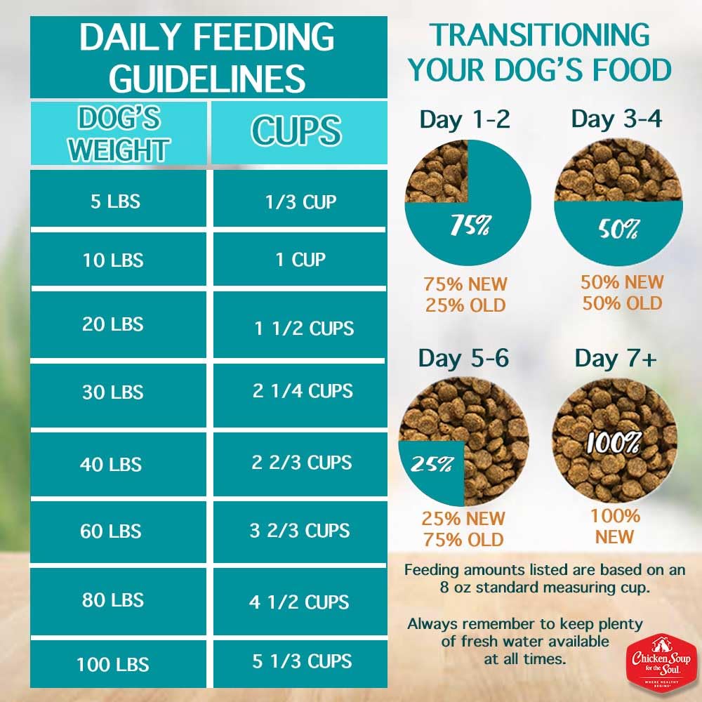 Chicken Soup for the Soul Small Bites: glucosamina y condroitina para articulaciones
