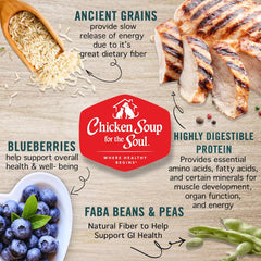 Chicken Soup for the Soul Small Bites: omega 3/6 para piel y pelaje saludables
